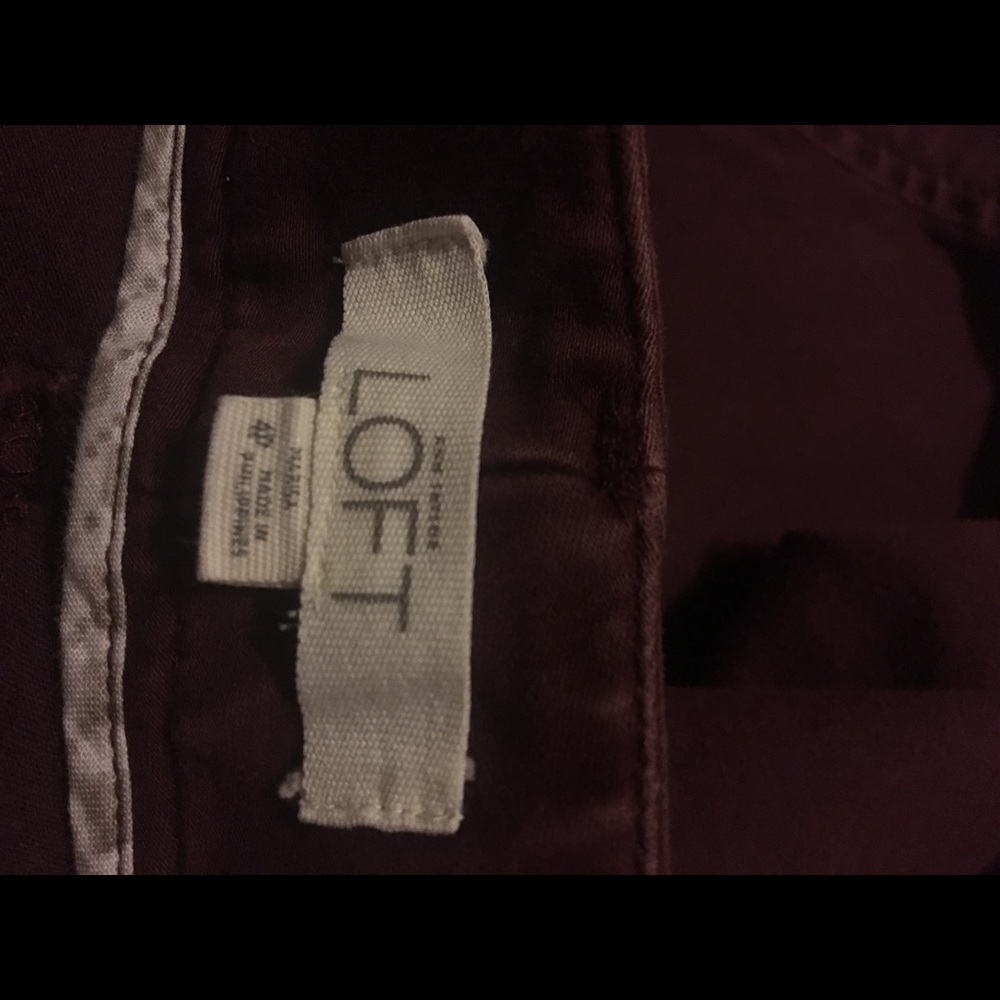 Women’s Loft Pant